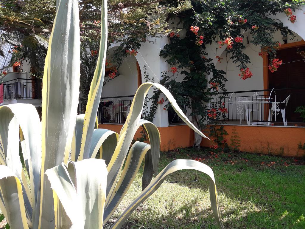 Studios Dimitris Punta 外观 照片