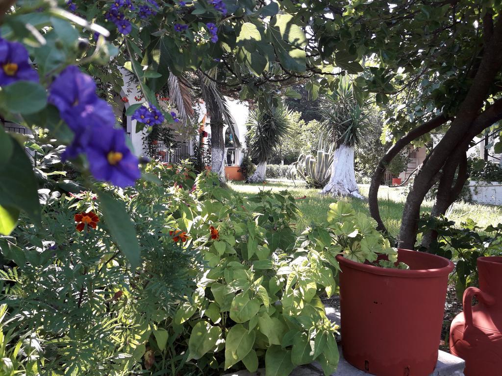 Studios Dimitris Punta 外观 照片